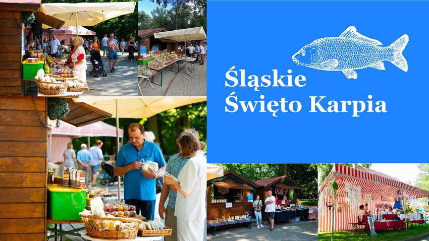 Powiększ: 