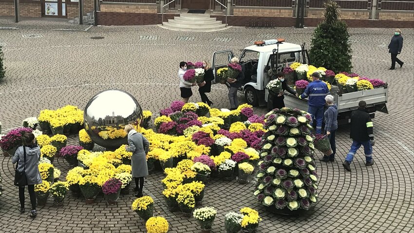 Powiększ: 