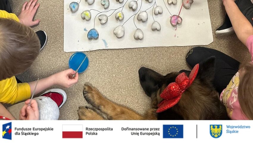 Powiększ: