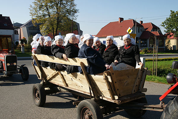 Powiększ: 