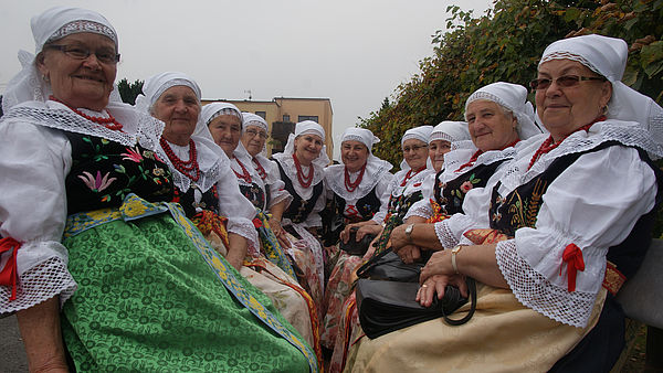 Powiększ: 